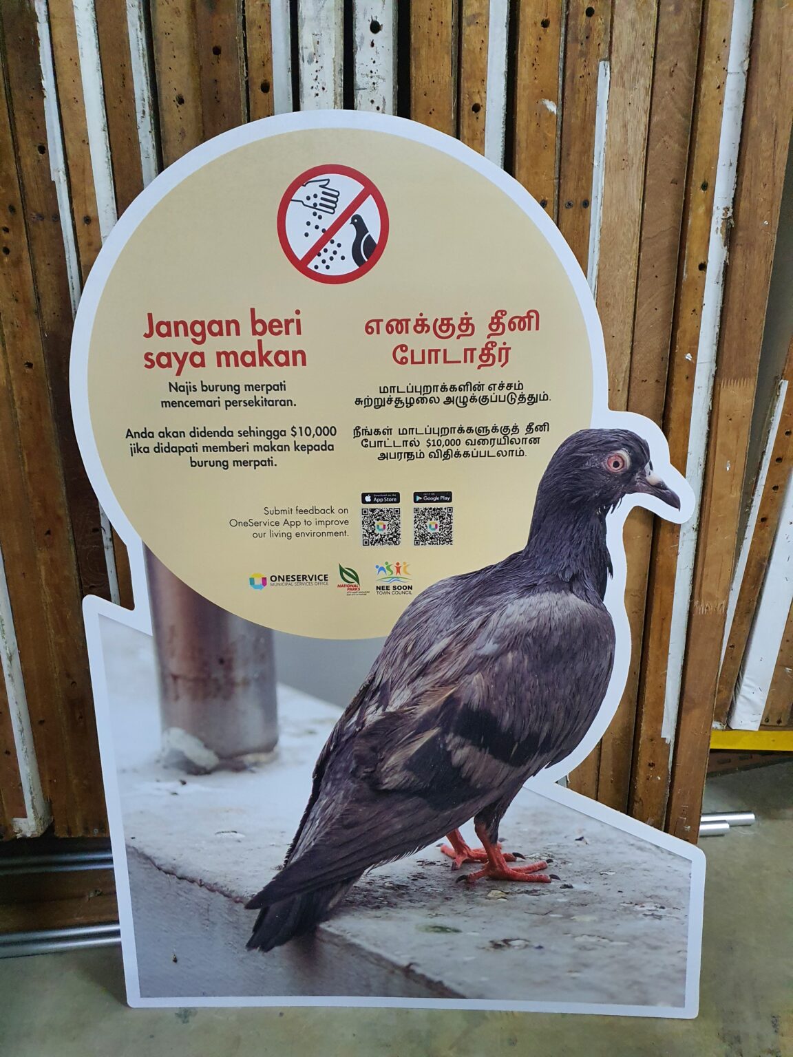 Sticker on Plywood Artsman